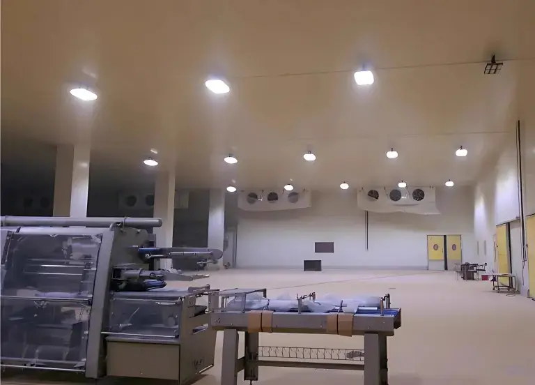 Big Bird Foods packing hall lit by Crest LED